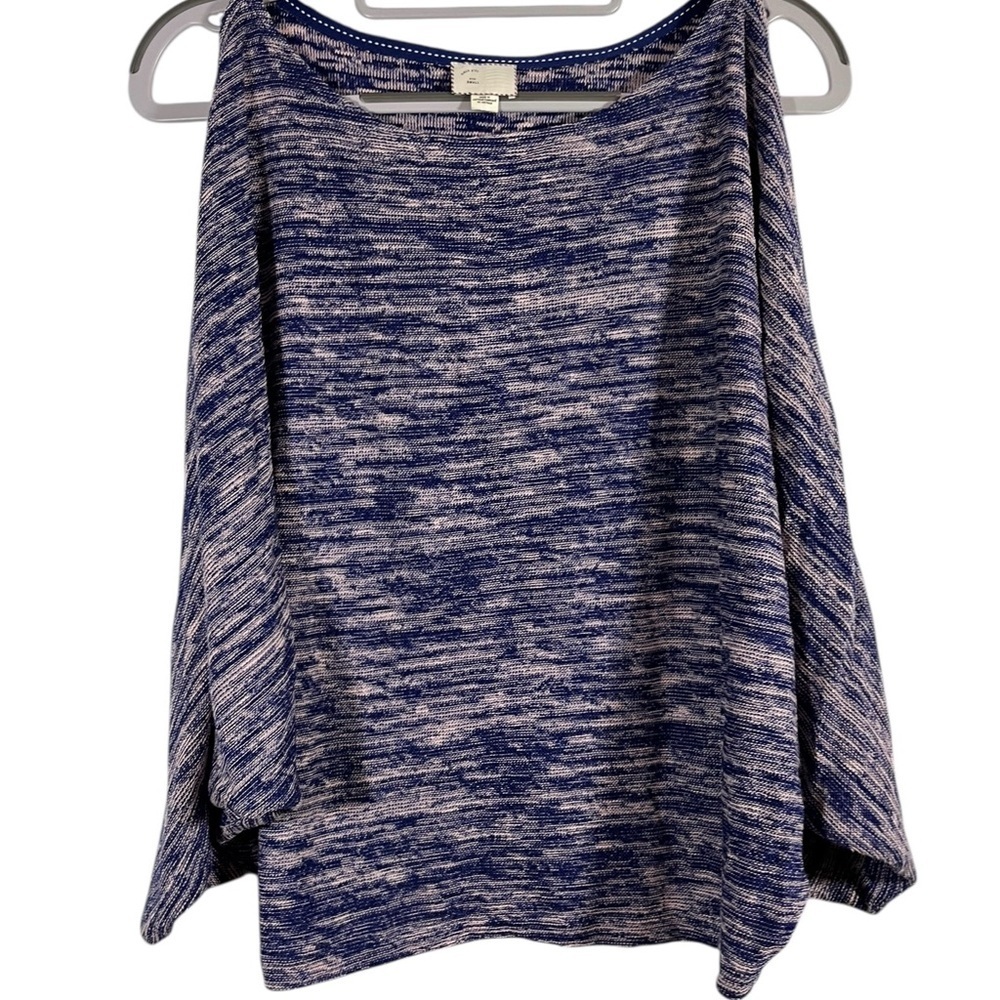 Blue and White sweater with dolman sleeves